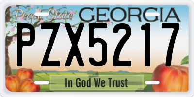 GA license plate PZX5217