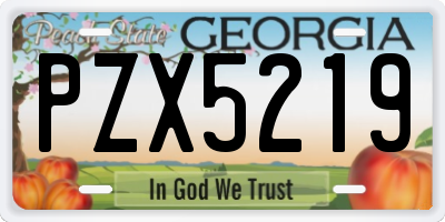 GA license plate PZX5219