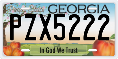 GA license plate PZX5222