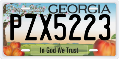 GA license plate PZX5223