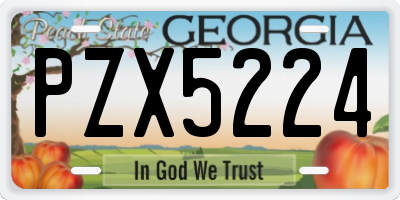 GA license plate PZX5224
