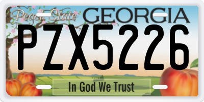 GA license plate PZX5226