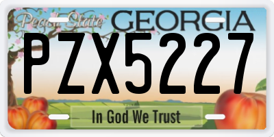 GA license plate PZX5227