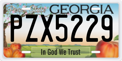 GA license plate PZX5229