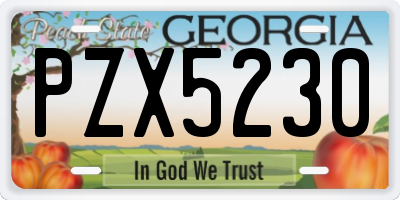 GA license plate PZX5230