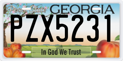GA license plate PZX5231