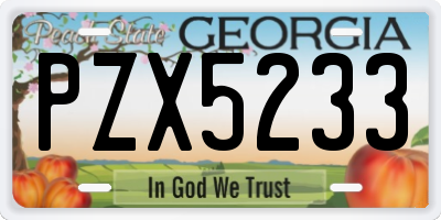 GA license plate PZX5233