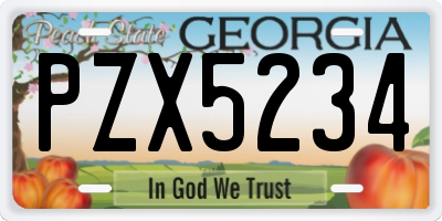 GA license plate PZX5234