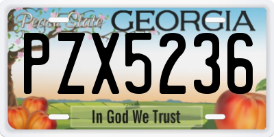 GA license plate PZX5236