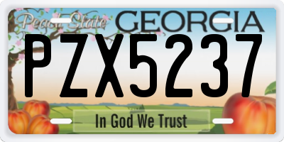 GA license plate PZX5237
