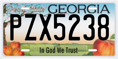 GA license plate PZX5238