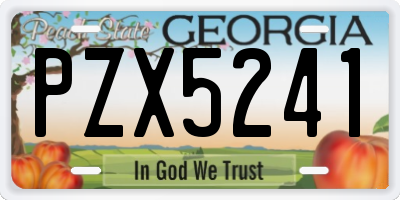 GA license plate PZX5241