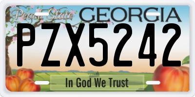 GA license plate PZX5242