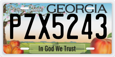 GA license plate PZX5243
