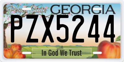GA license plate PZX5244