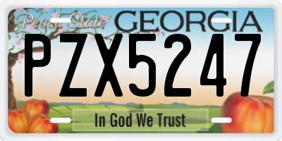 GA license plate PZX5247