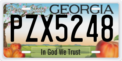 GA license plate PZX5248