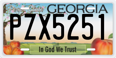 GA license plate PZX5251