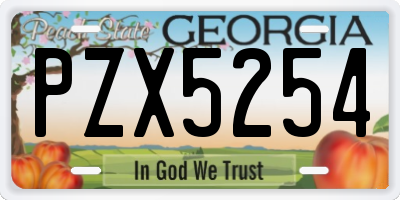 GA license plate PZX5254