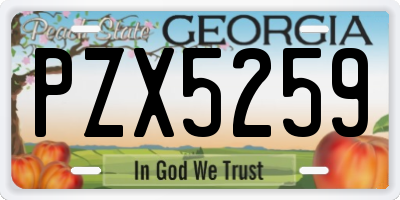 GA license plate PZX5259