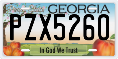 GA license plate PZX5260