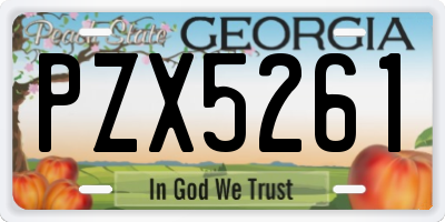 GA license plate PZX5261
