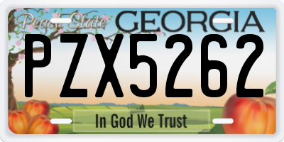 GA license plate PZX5262
