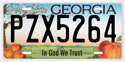 GA license plate PZX5264