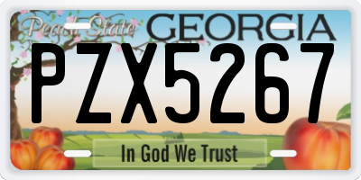 GA license plate PZX5267