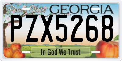 GA license plate PZX5268