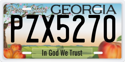 GA license plate PZX5270