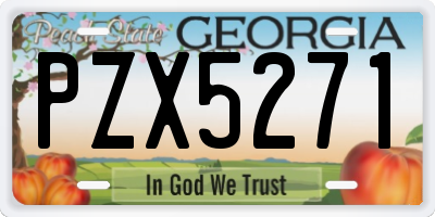 GA license plate PZX5271