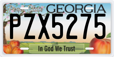 GA license plate PZX5275