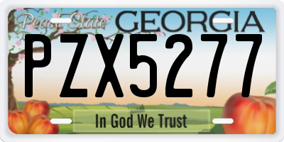 GA license plate PZX5277