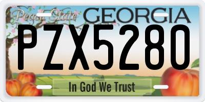 GA license plate PZX5280