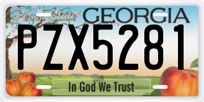 GA license plate PZX5281