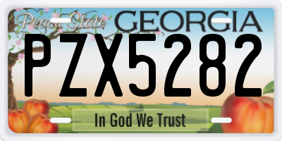 GA license plate PZX5282