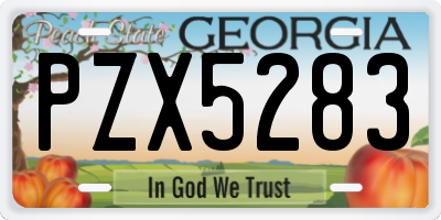 GA license plate PZX5283