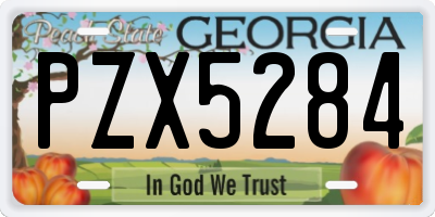 GA license plate PZX5284