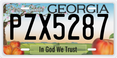 GA license plate PZX5287