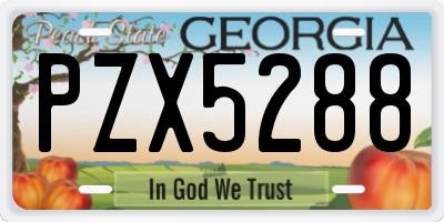 GA license plate PZX5288