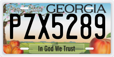 GA license plate PZX5289