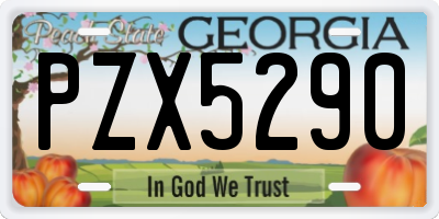 GA license plate PZX5290