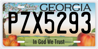 GA license plate PZX5293