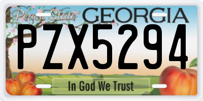 GA license plate PZX5294