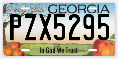 GA license plate PZX5295