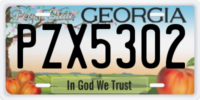 GA license plate PZX5302