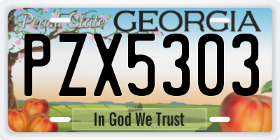 GA license plate PZX5303
