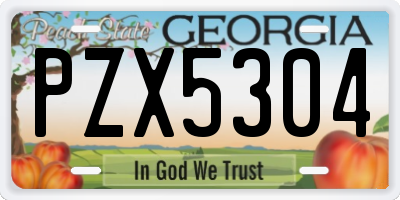 GA license plate PZX5304