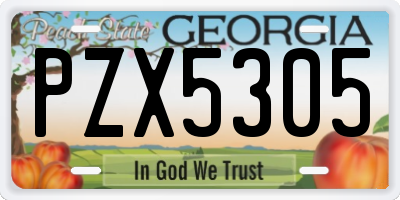 GA license plate PZX5305